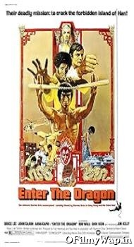 Enter the Dragon 1973 Hindi Dubbed Movie