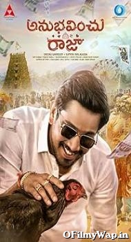 Anubhavinchu Raja 2021 Hindi Dubbed Movie