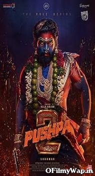 Pushpa: the Rule - Part 2 2024 Hindi Dubbed Movie