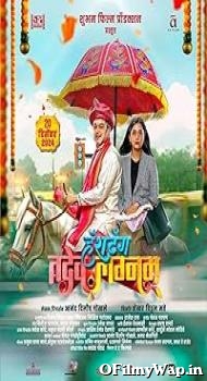 Hashtag Tadev lagnam 2024 Marathi Movie