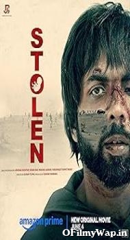 Stolen 2025 Hindi Movie