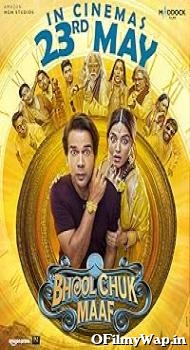 Bhool Chuk Maaf 2025 Hindi Movie