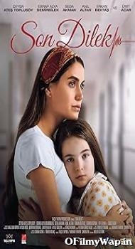 The Last Wish AKA Son Dilek 2025 Hindi Dubbed Movie
