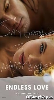 Endless Love 2014 Hindi Dubbed Movie