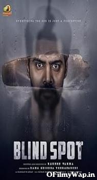 Blind Spot 2025 Hindi Dubbed Movie