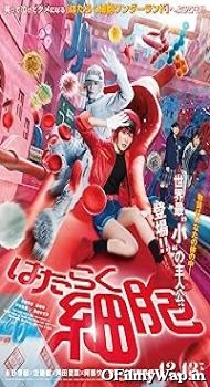 Cells at Workl 2024 English Movie