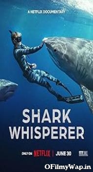 Shark Whisperer 2025 Hindi Dubbed Movie