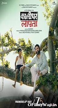 Kaalidhar Laapata 2025 Hindi Movie