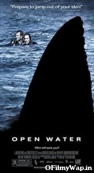 Open Water 2003 Hindi Dubbed Movie