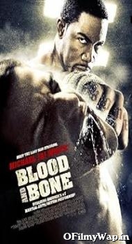 Blood and Bone 2009 Hindi Dubbed Movie