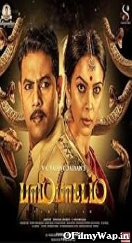Pambattam 2023 Hindi Dubbed Movie