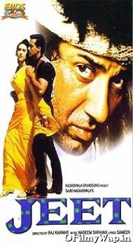 Jeet 1996 Hindi Movie