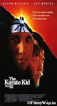 The Karate Kid Part 3 1989 Hindi Dubbed Movie